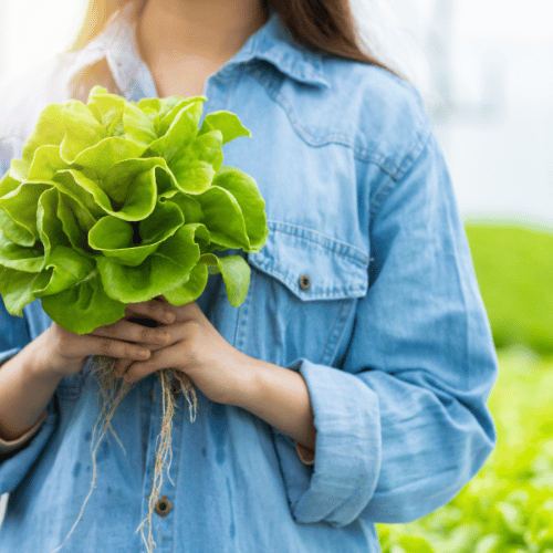 mujer con una planta en las manos agricultor