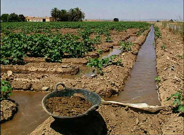 riego por boquera agricultura