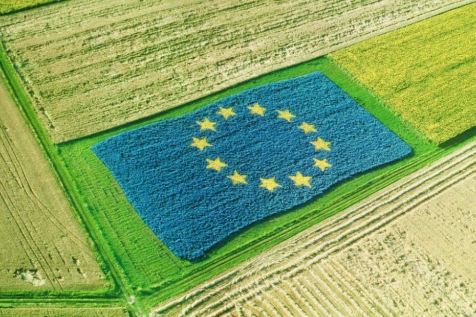 bandera europea en la agricultura reflejando la competencia desleal