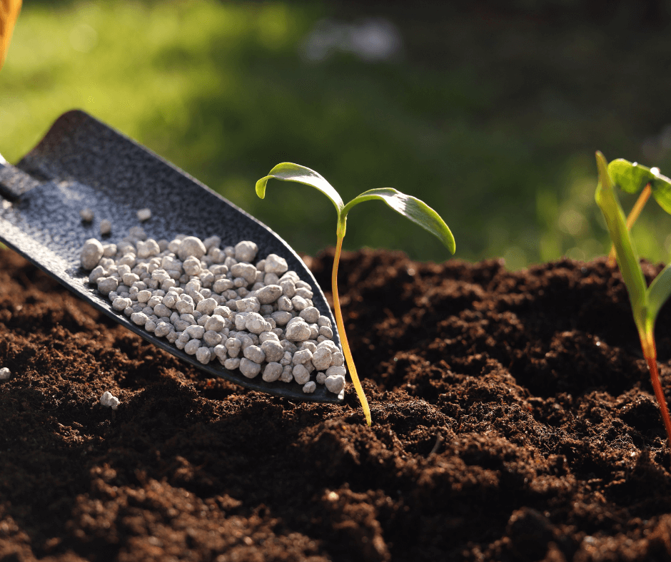 fertilizantes agrícolas