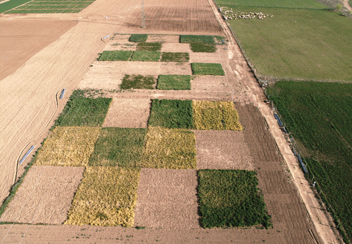 restricciones agrícolas Europa 2025 rotación de cultivos