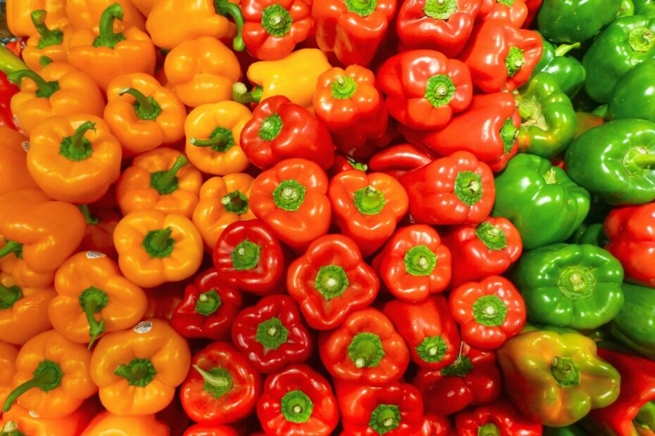 pimientos cultivos campo de cartagena
