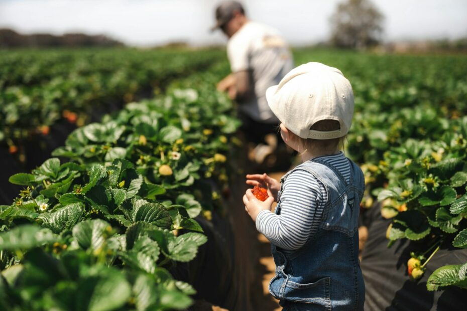 joven agricultor siguiendo a su padre