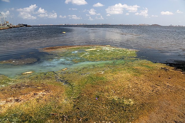 acuifero mar menor contaminado